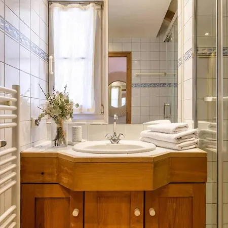 Moulin - Ultra T2 - Vue Mt Blanc - Quartier Vivant شقة شامونكس